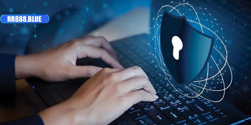 Các nội dung tiêu biểu trong chính sách riêng tư