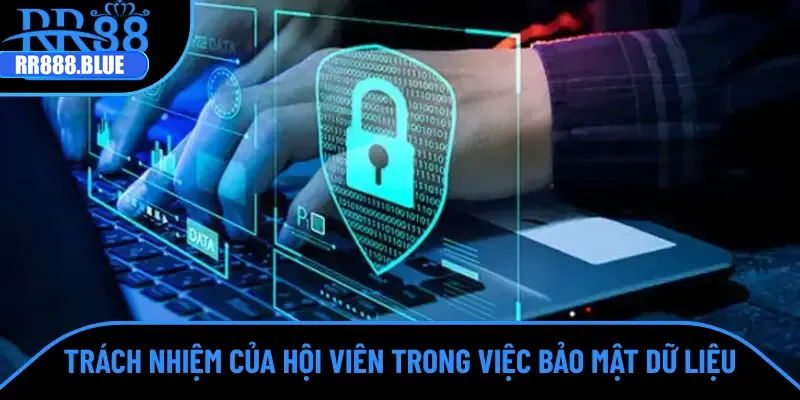 Trách nhiệm của người chơi trong chính sách bảo mật dữ liệu