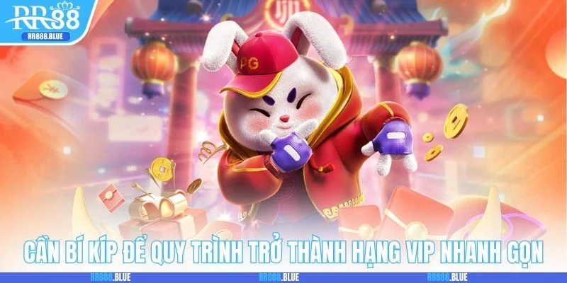 Cần bí kíp để quy trình trở thành hạng VIP nhanh gọn