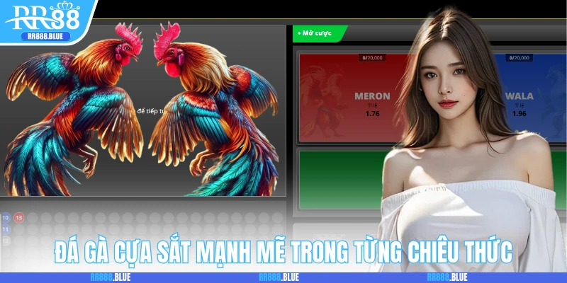 Đá cựa sắt mạnh mẽ trong từng chiêu thức
