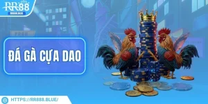 da-ga-cua-dao