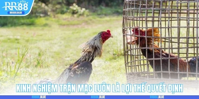 Kinh nghiệm trận mạc luôn là lợi thế quyết định