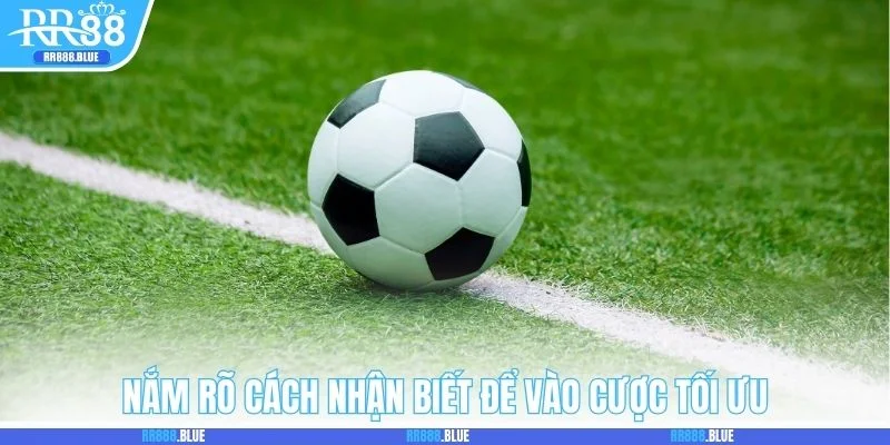 Nắm rõ cách nhận biết để vào cược tối ưu