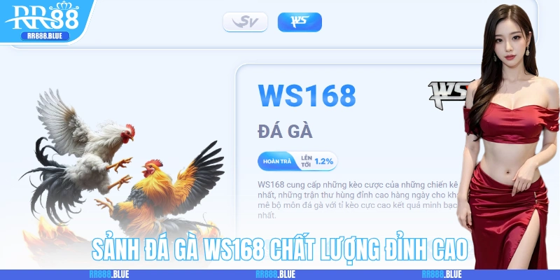 Sảnh chọi kê WS168 chất lượng