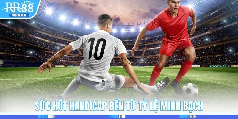 Sức hút Handicap đến từ tỷ lệ minh bạch