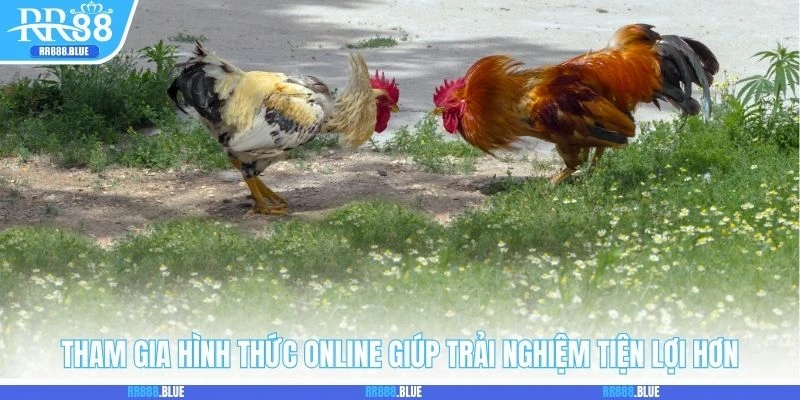 Tham gia hình thức online giúp trải nghiệm tiện lợi hơn