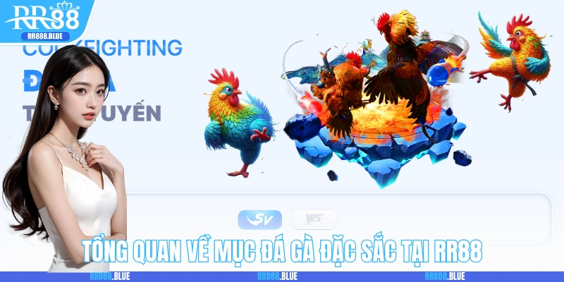 Tổng quan nhanh về mục đá gà RR88 đặc sắc